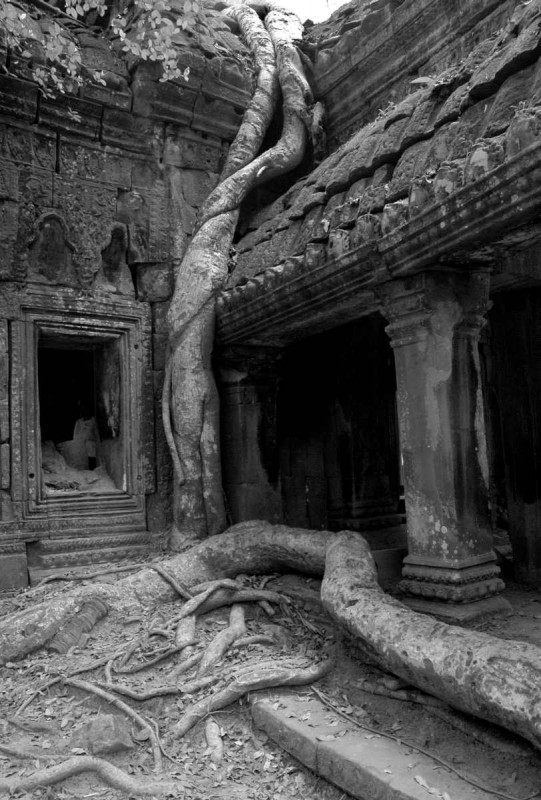 2008-04-05 KAM AngkorWat 067
