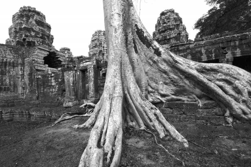 2008-04-05 KAM AngkorWat 208