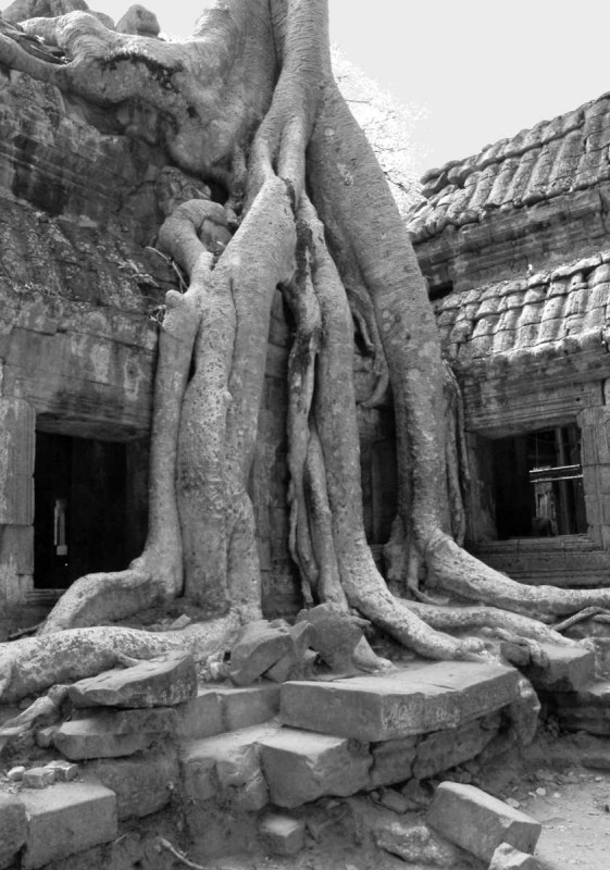 2008-04-06 KAM AngkorWat 142