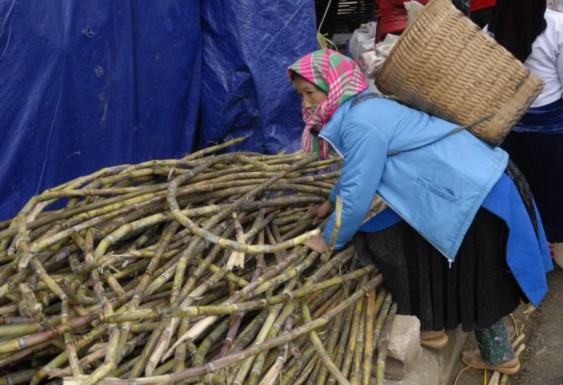 2016-02-28 VIE HaGiang 0031