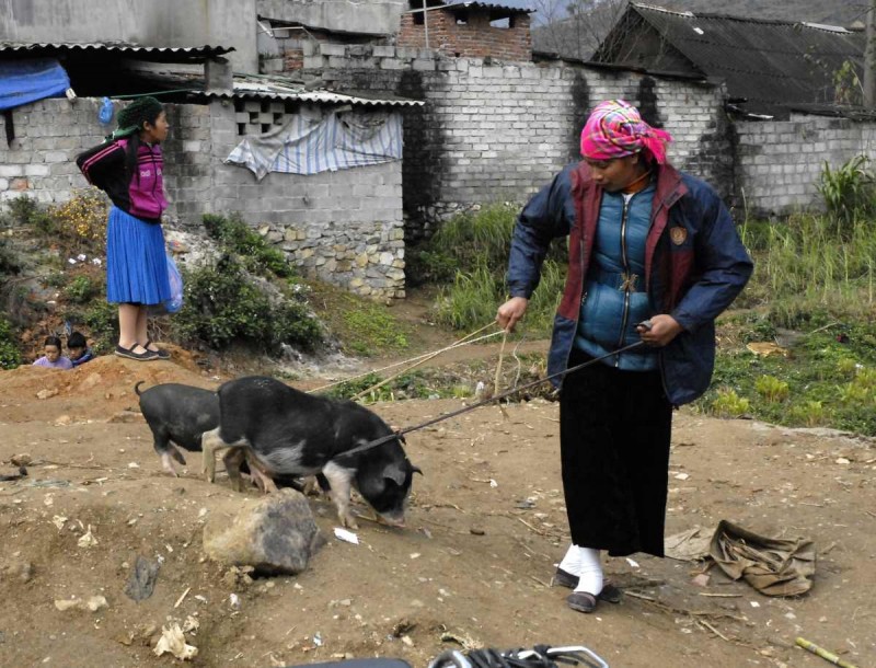 2016-02-28 VIE HaGiang 0832
