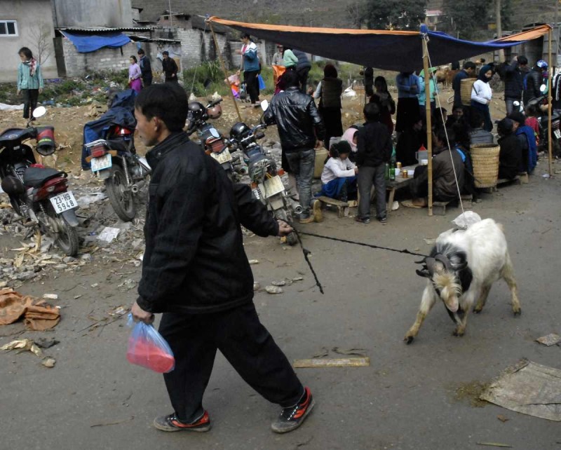 2016-02-28 VIE HaGiang 0842