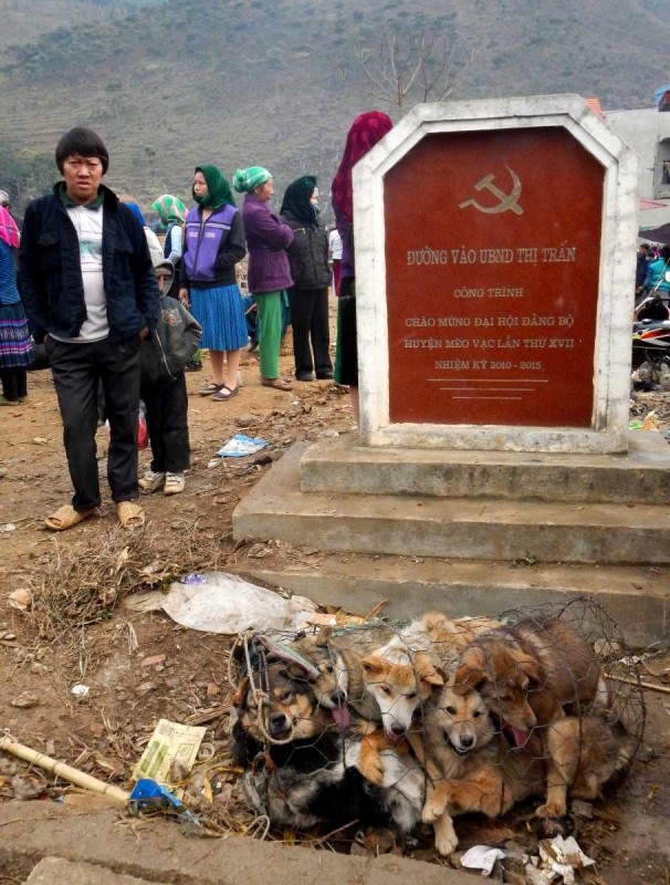 2016-02-28 VIE HaGiang 1209