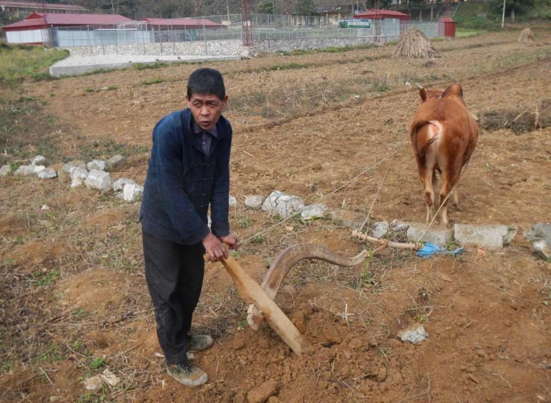 2016-02-28 VIE HaGiang 1246