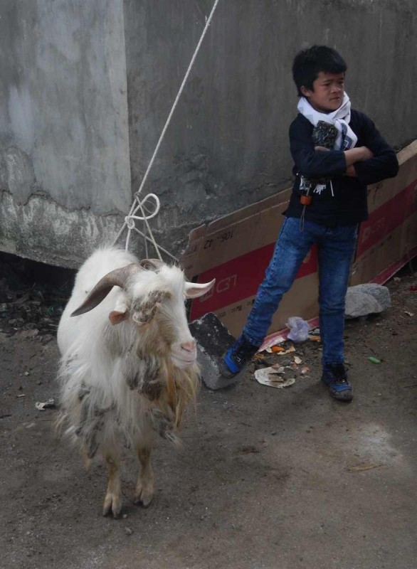 2016-02-28 VIE HaGiang 1261
