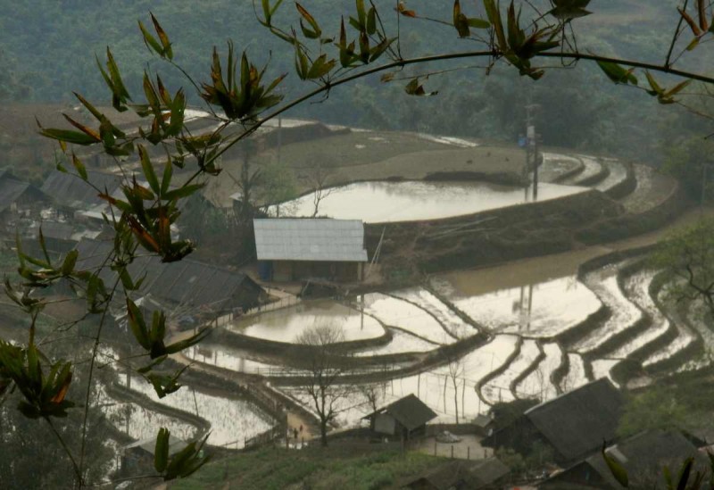 2016-03-06 VIE Sapa 444